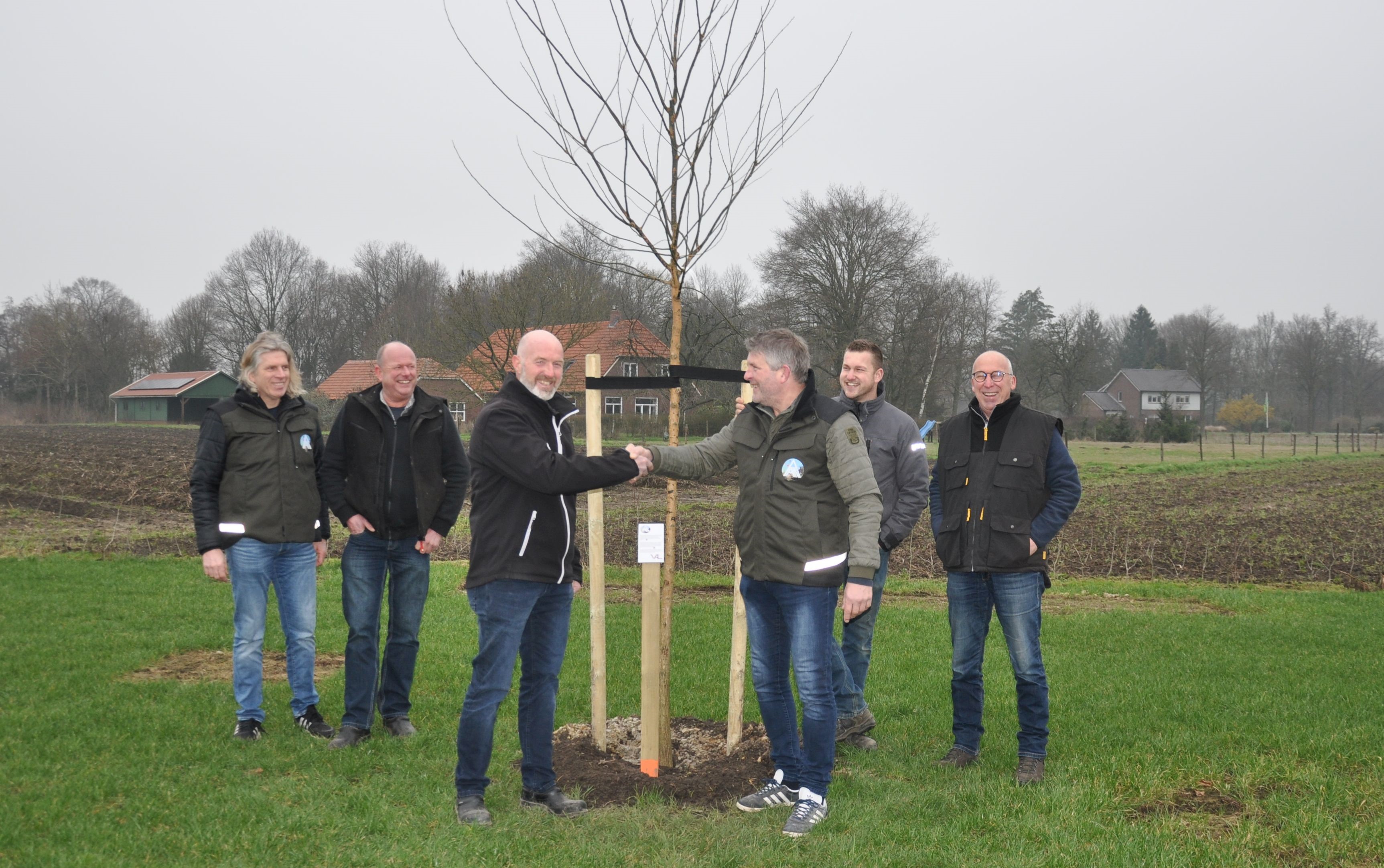 Planten Honingboom