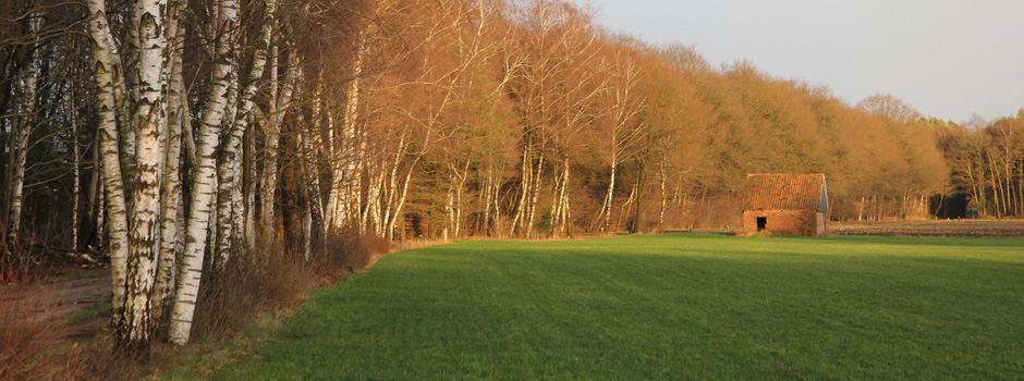 bredelerweg-2.jpg