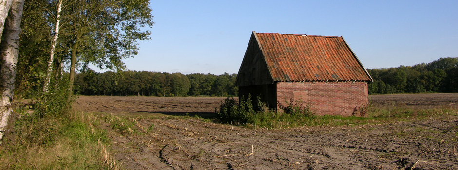 veldschuur-ratum.jpg